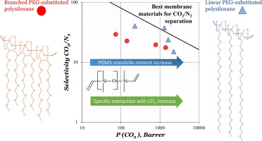 Reactive and Functional Polymers