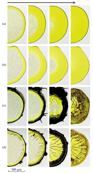 Polymer Science, Series A