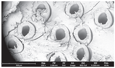 ������ ������� ���������� ������������